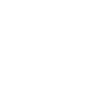 Wanderzirkus e.V.