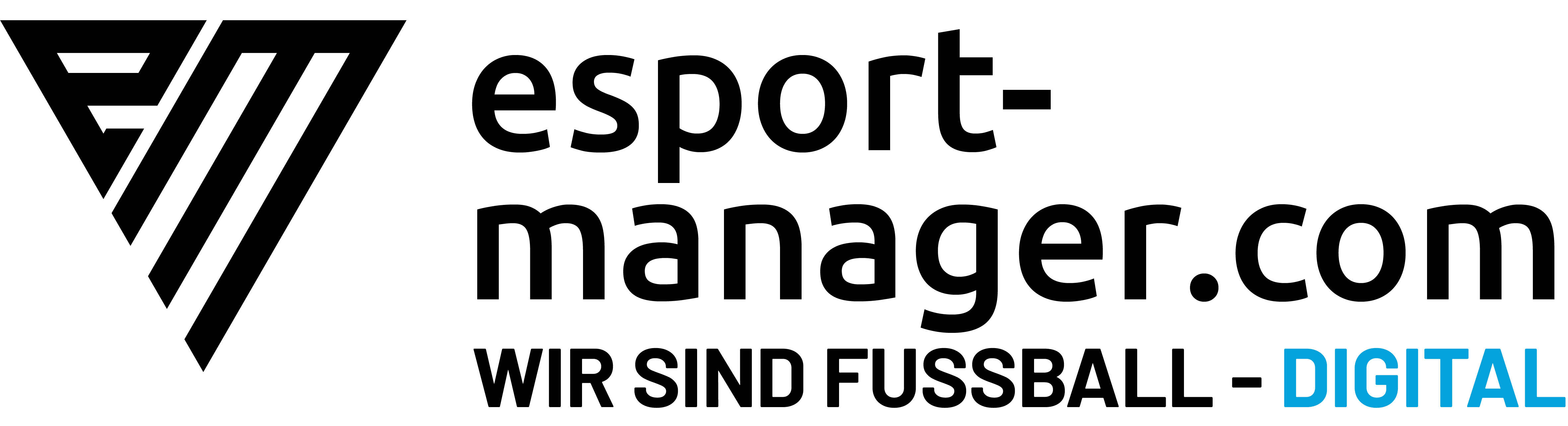 esport-manager Eleven GmbH & Co. KG