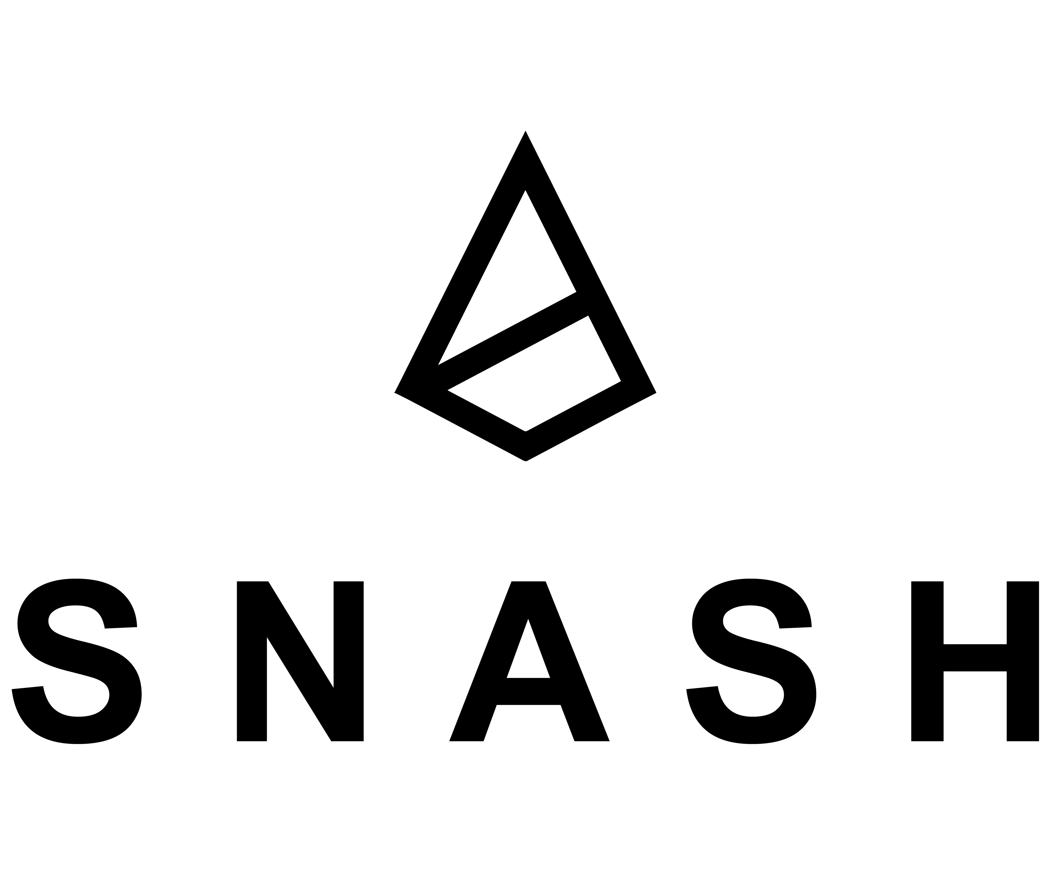 SNASH GmbH