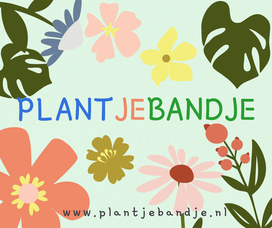 Plantjebandje